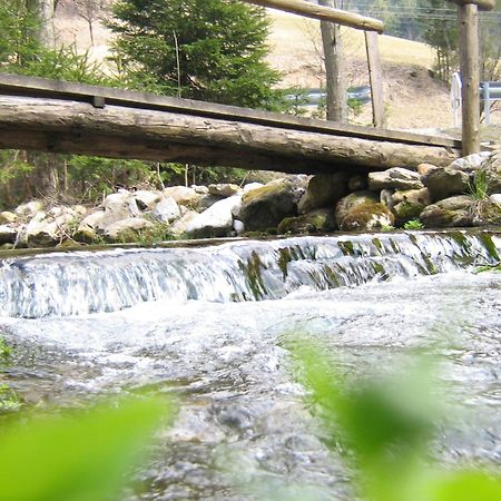 Farmhouse Stiftar Solčava Εξωτερικό φωτογραφία
