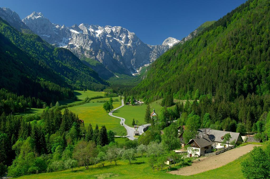 Farmhouse Stiftar Solčava Εξωτερικό φωτογραφία
