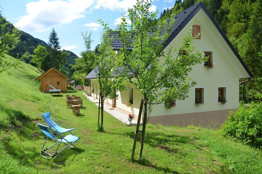 Farmhouse Stiftar Solčava Εξωτερικό φωτογραφία